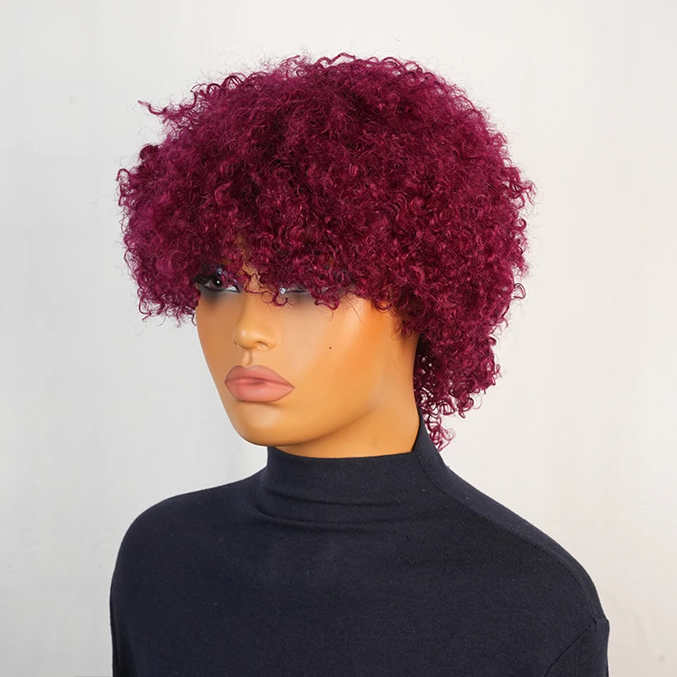 Afro Kinky Curly Brazilian Human Hair Glueless Machine Made Wig