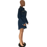 Turndown Collar Button Long Sleeve Mini Dress
