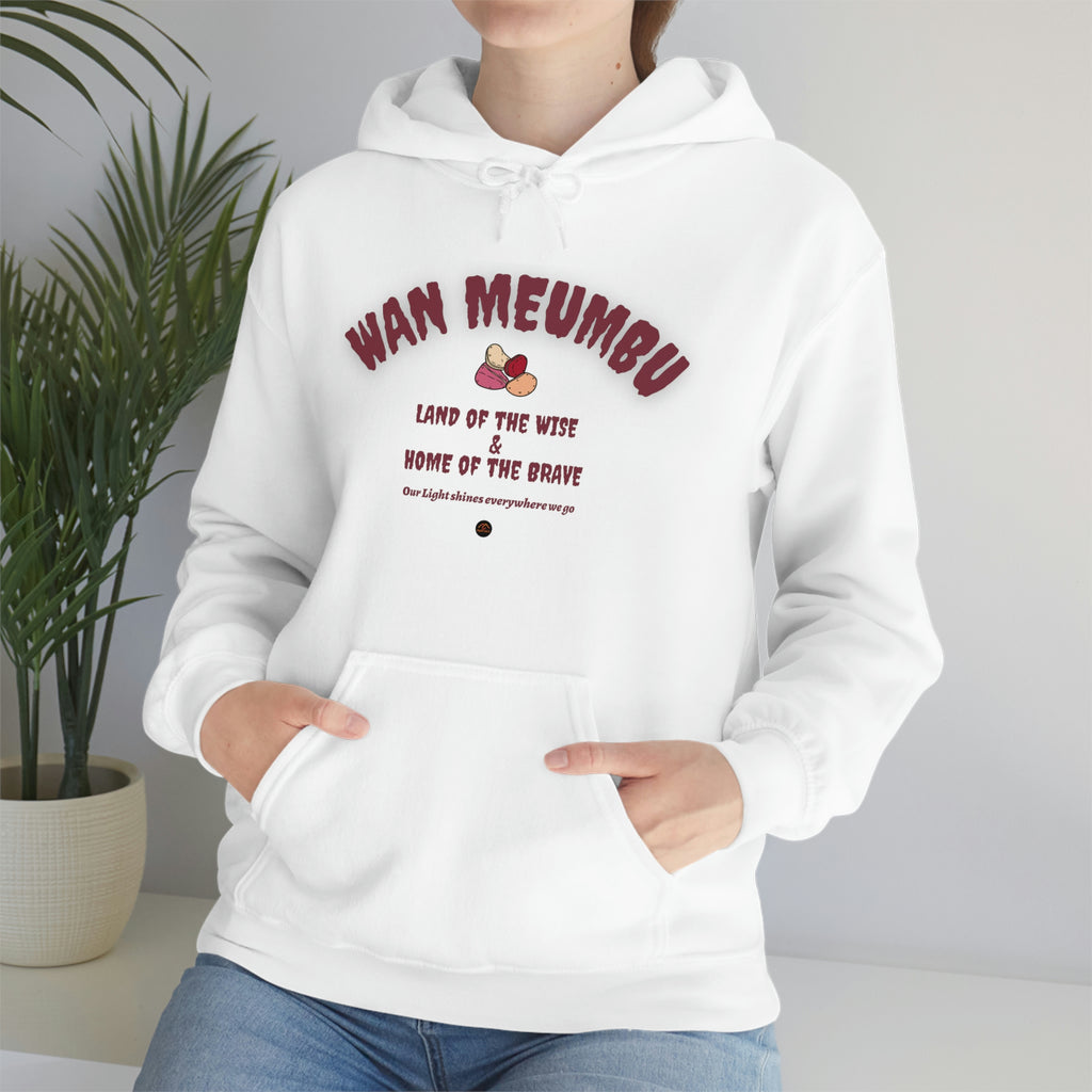 Wan Meumbu Hooded Sweatshirt