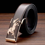Designer Leather Fancy Plate Buckle Belts